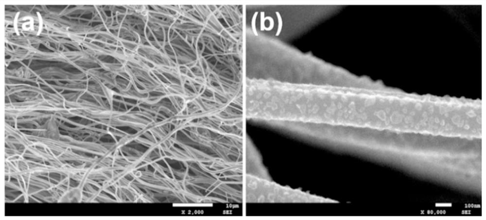 Preparation method of flexible self-supporting Li3VO4/C nanofiber lithium ion battery negative electrode material