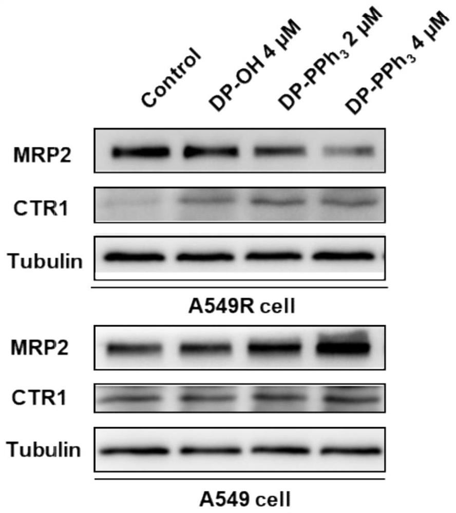 Mitochondrial targeting compound with aggregation-induced emission property and synthesis method and application thereof