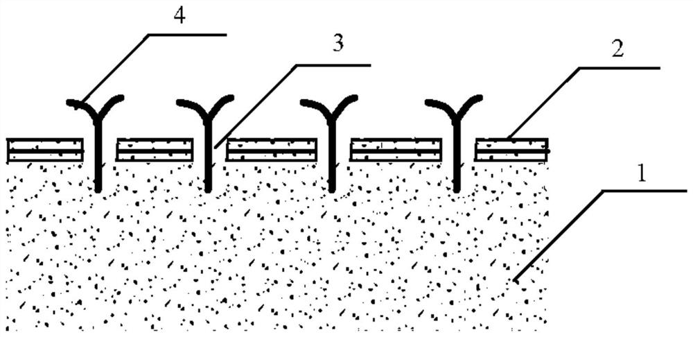 Soil petroleum hydrocarbon contamination remediation device and remediation method