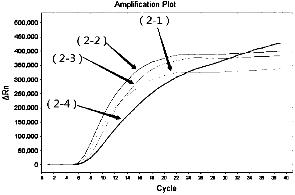 SRDA isothermal nucleic acid amplification reagent kit and application thereof