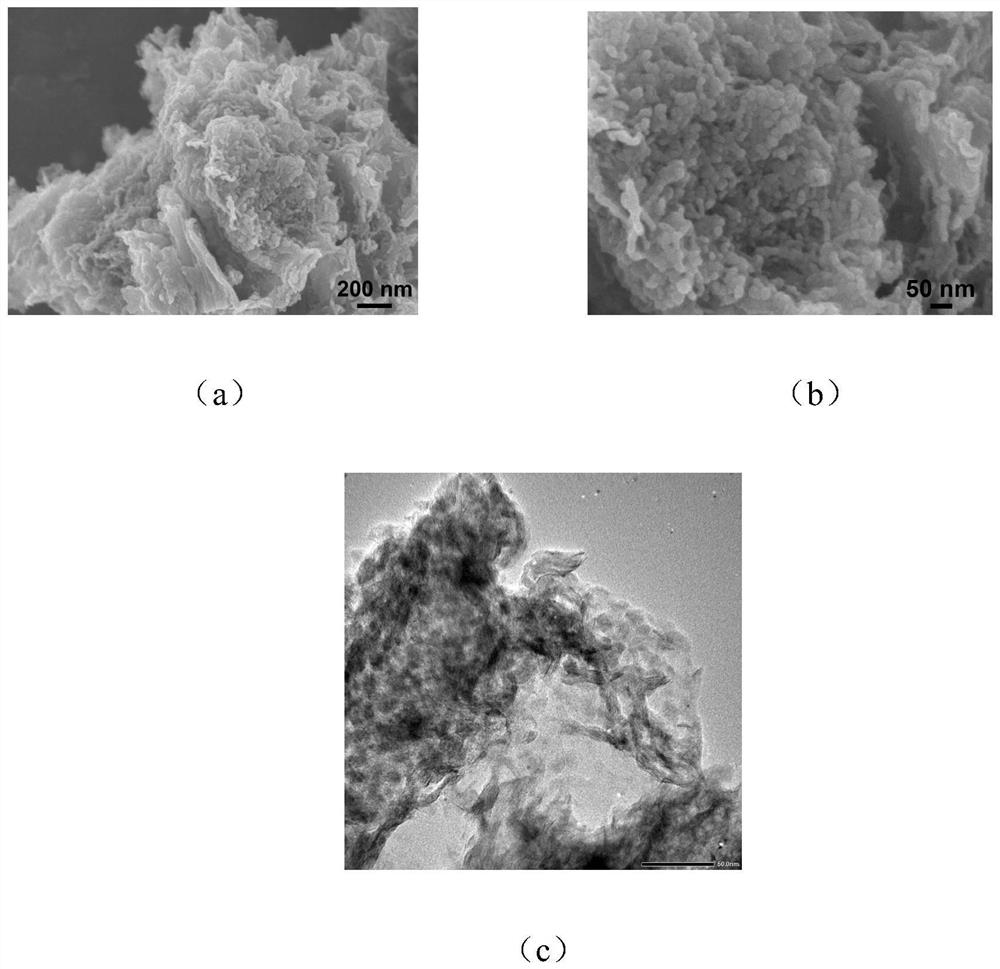 Preparation method and application of MoS2 quasi-quantum dot/nitrogen-sulfur co-doped biomass carbon composite nanomaterial