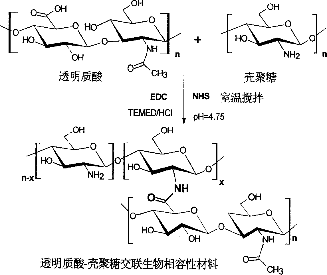 Process for preparing hyaluronic acid-chitosan crosslinked biocompatible materials