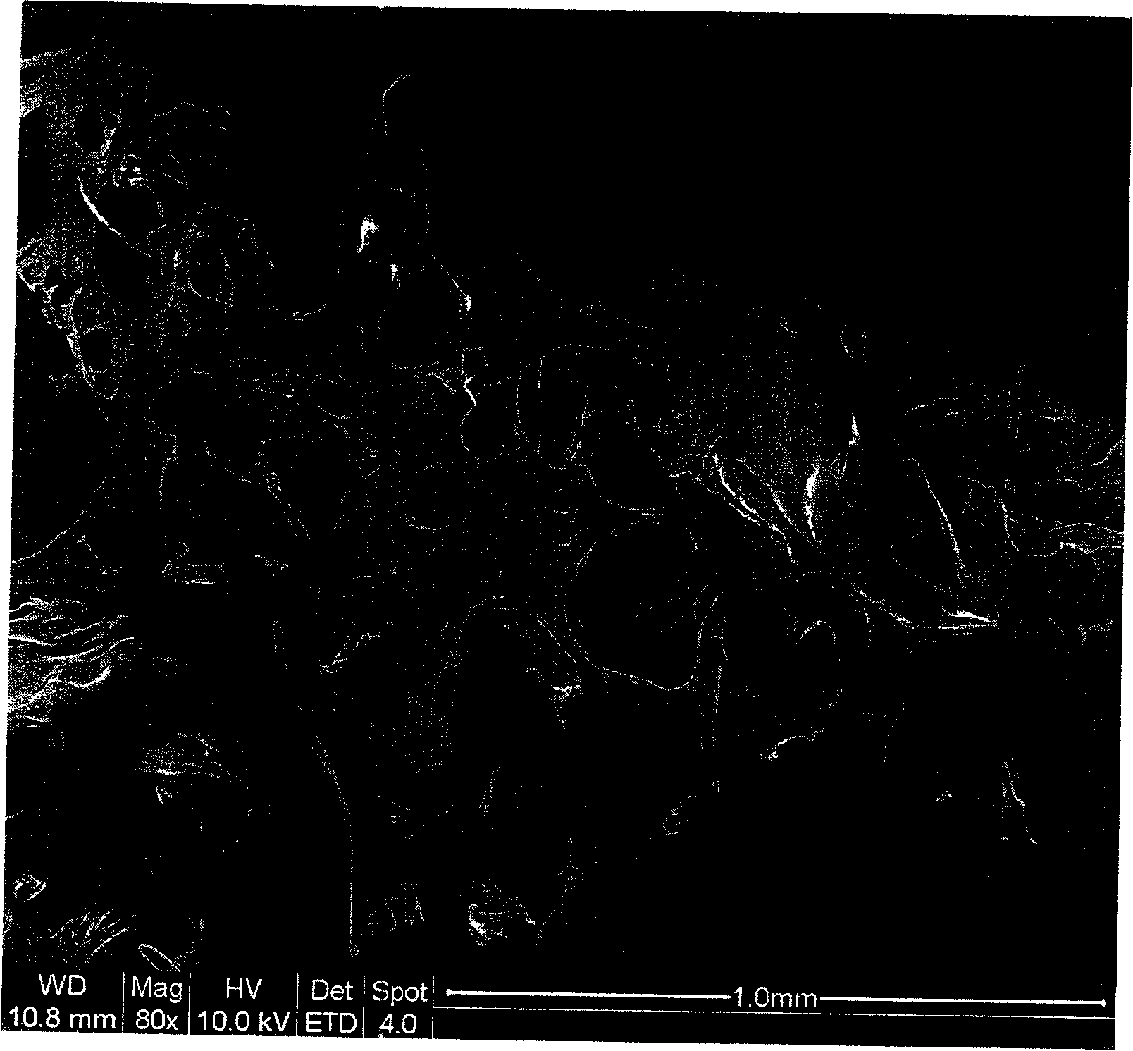 Process for preparing hyaluronic acid-chitosan crosslinked biocompatible materials