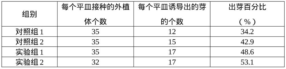 Substrate for tissue culture of dracocephalum rupestre hance as well as preparation method and application thereof