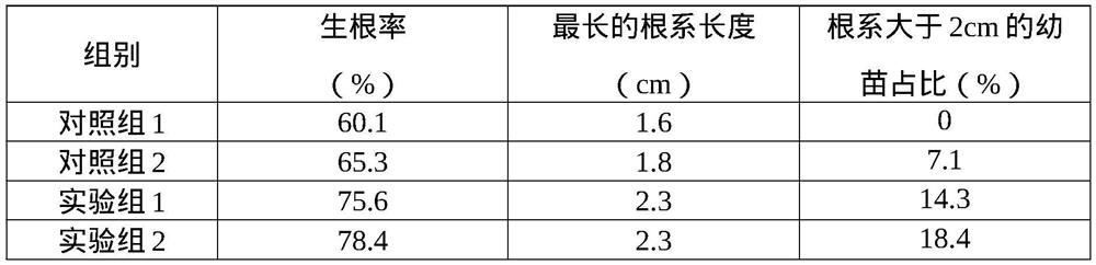 Substrate for tissue culture of dracocephalum rupestre hance as well as preparation method and application thereof