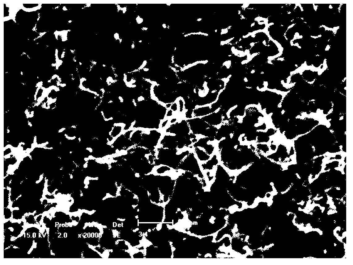 Temperature sensor preparation method based on carbon nano tube three-dimensional network film