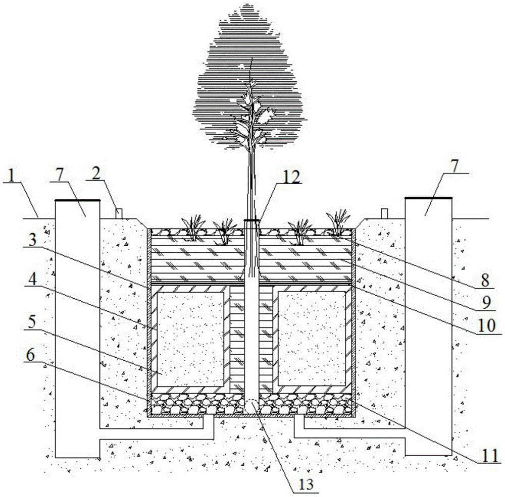 Multifunctional system for rainwater infiltration, collection and storage and purification of sponge city