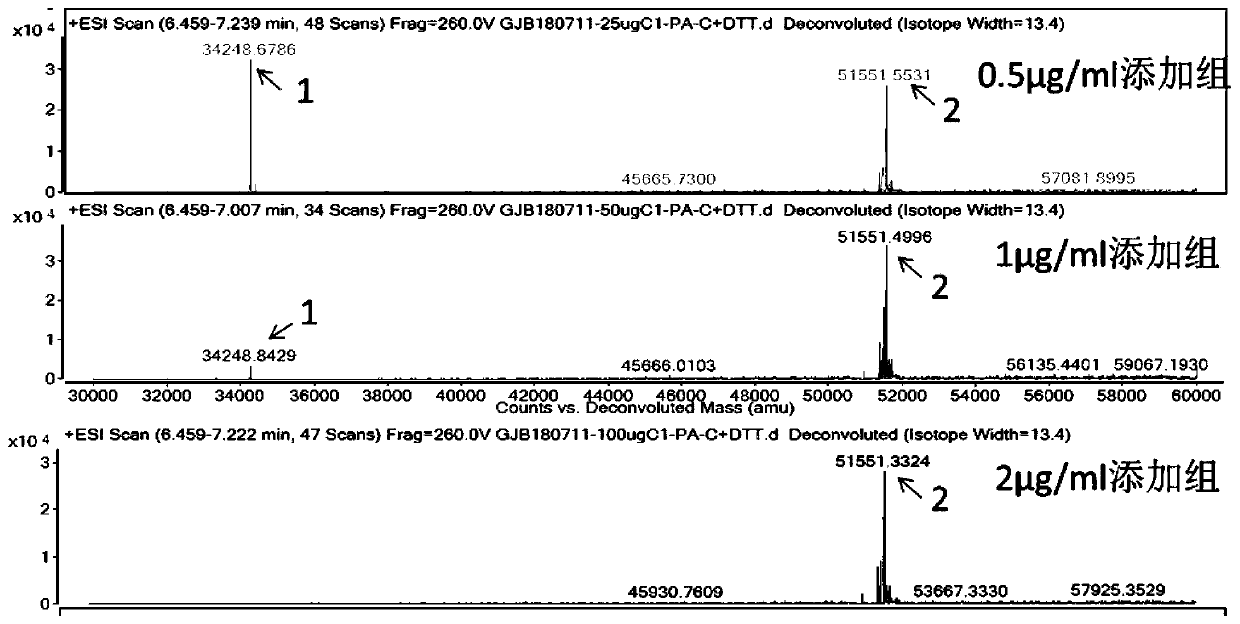 FGF21 Fusion Proteins and Method of Inhibiting Degradation Thereof