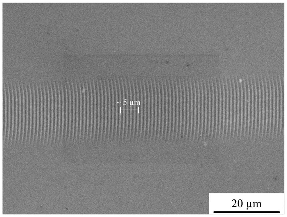 Method for preparing micro-nano periodic structures on the surface of amorphous alloys by nanosecond laser irradiation