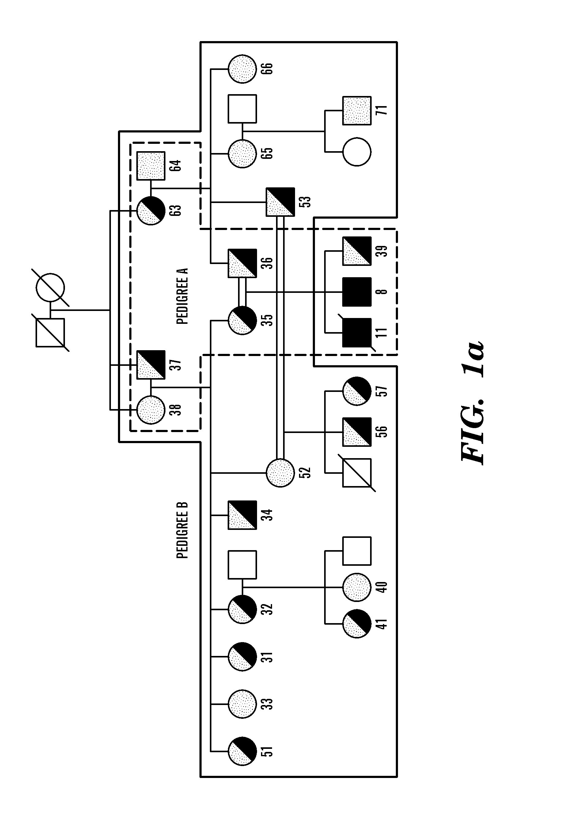 Regulators of nfat