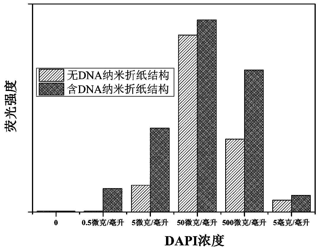 A method for embedding and releasing DNA nano-origami structures as drug carriers using DAPI embedding and releasing