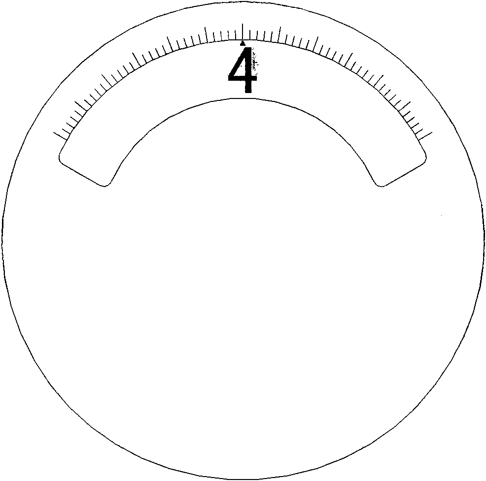 Indicating mechanism of watch