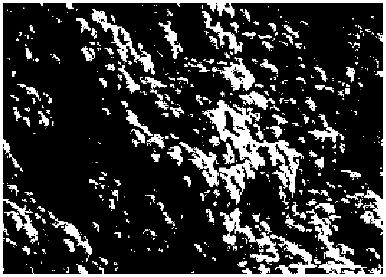 Coating finishing technology of intelligent temperature-regulating textile based on phase change microcapsules