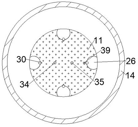 Novel rectum swab sample collector