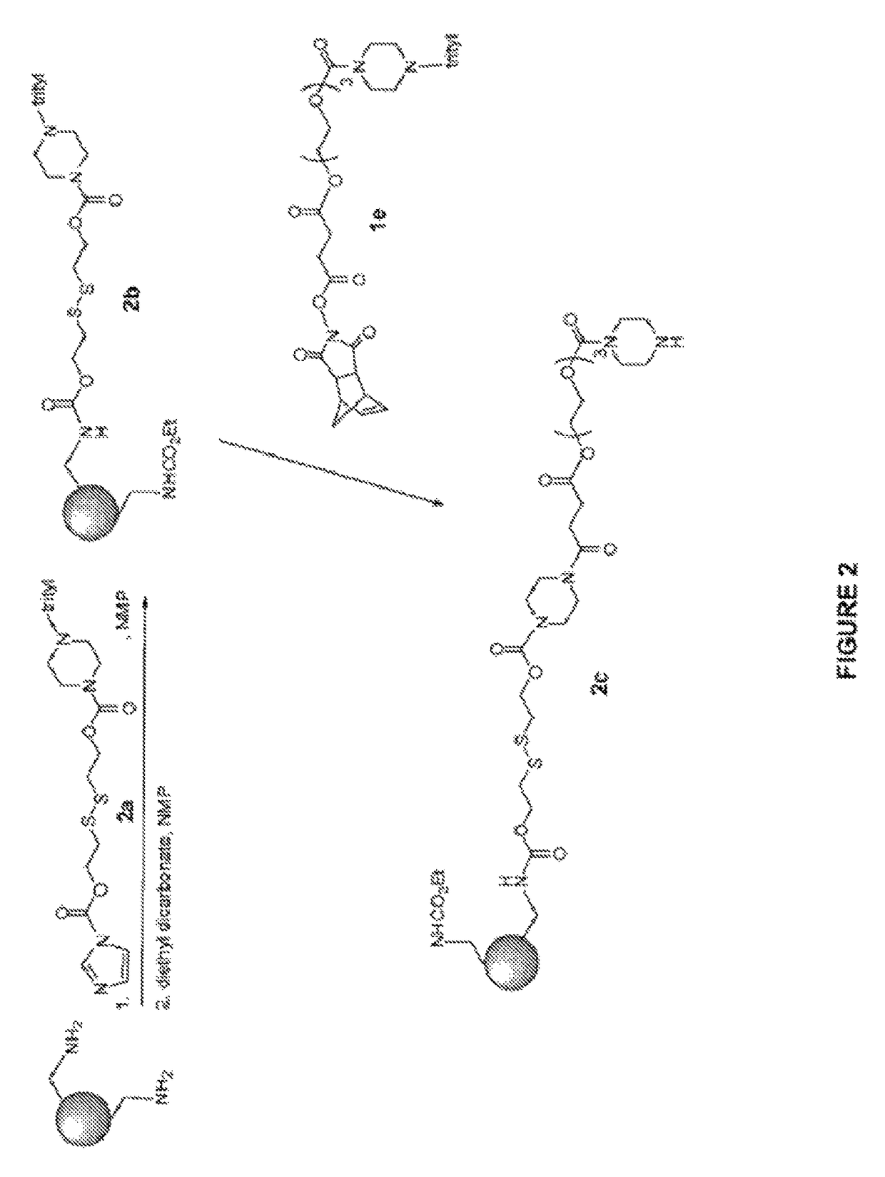 Induced exon inclusion in spinal muscle atrophy