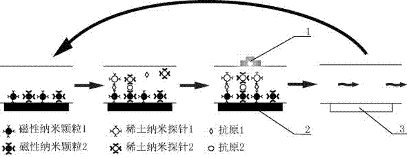 Rapid and continuous detection technology based on nanometer probe and magnetic micro-nano-particles