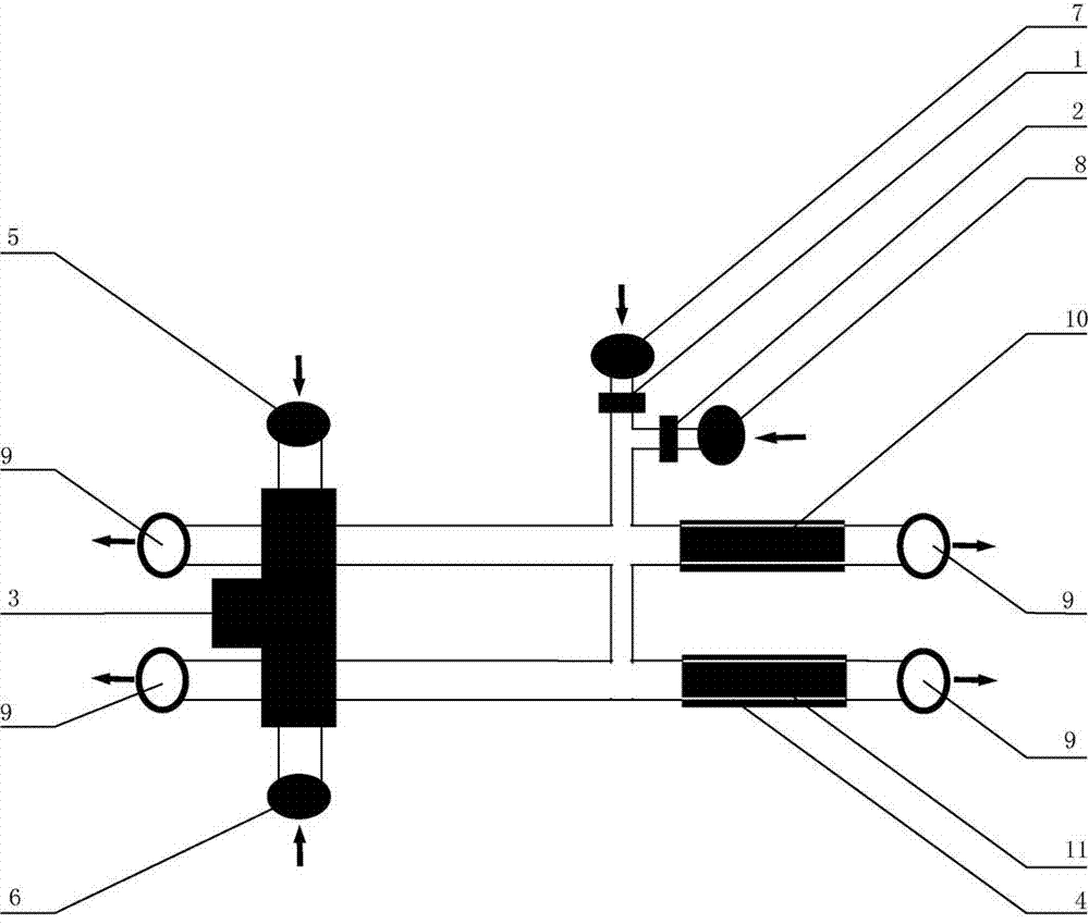 Rapid and continuous detection technology based on nanometer probe and magnetic micro-nano-particles