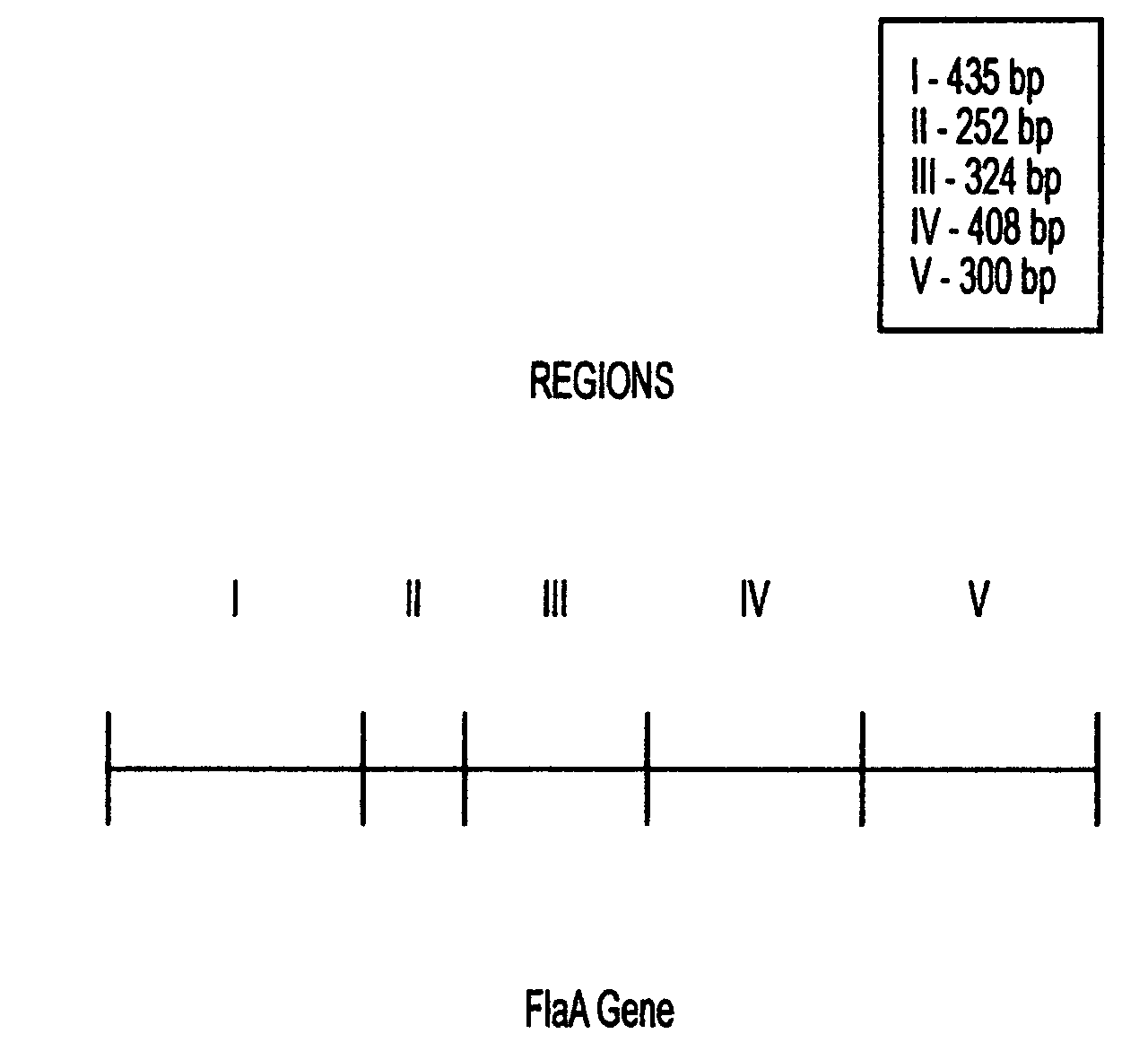 Combinant polypeptide for use in the manufacture of vaccines against <i>Campylobacter </i>induced diarrhea and to reduce colonization