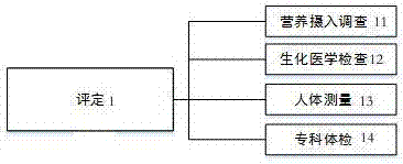 Clinical nutrition diagnosis and treatment simulation system