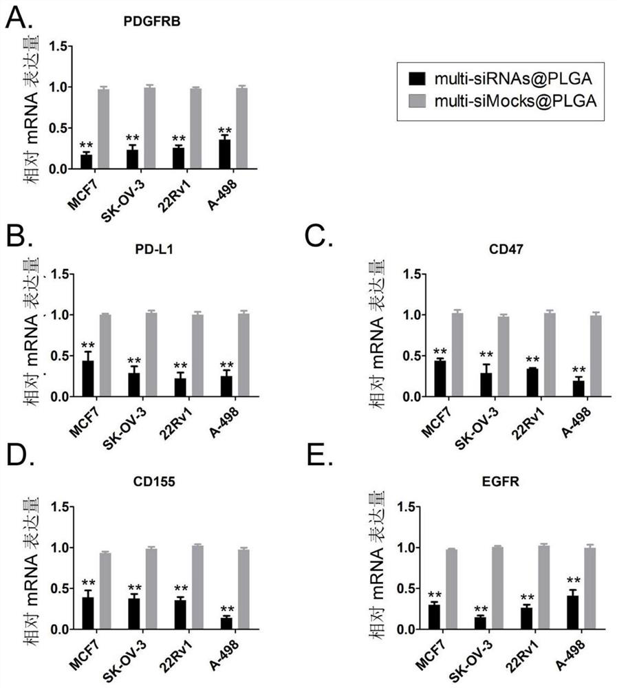 PLGA multi-target composite nano reagent for targeting tumor neovascularization and preparation method and application of PLGA multi-target composite nano reagent