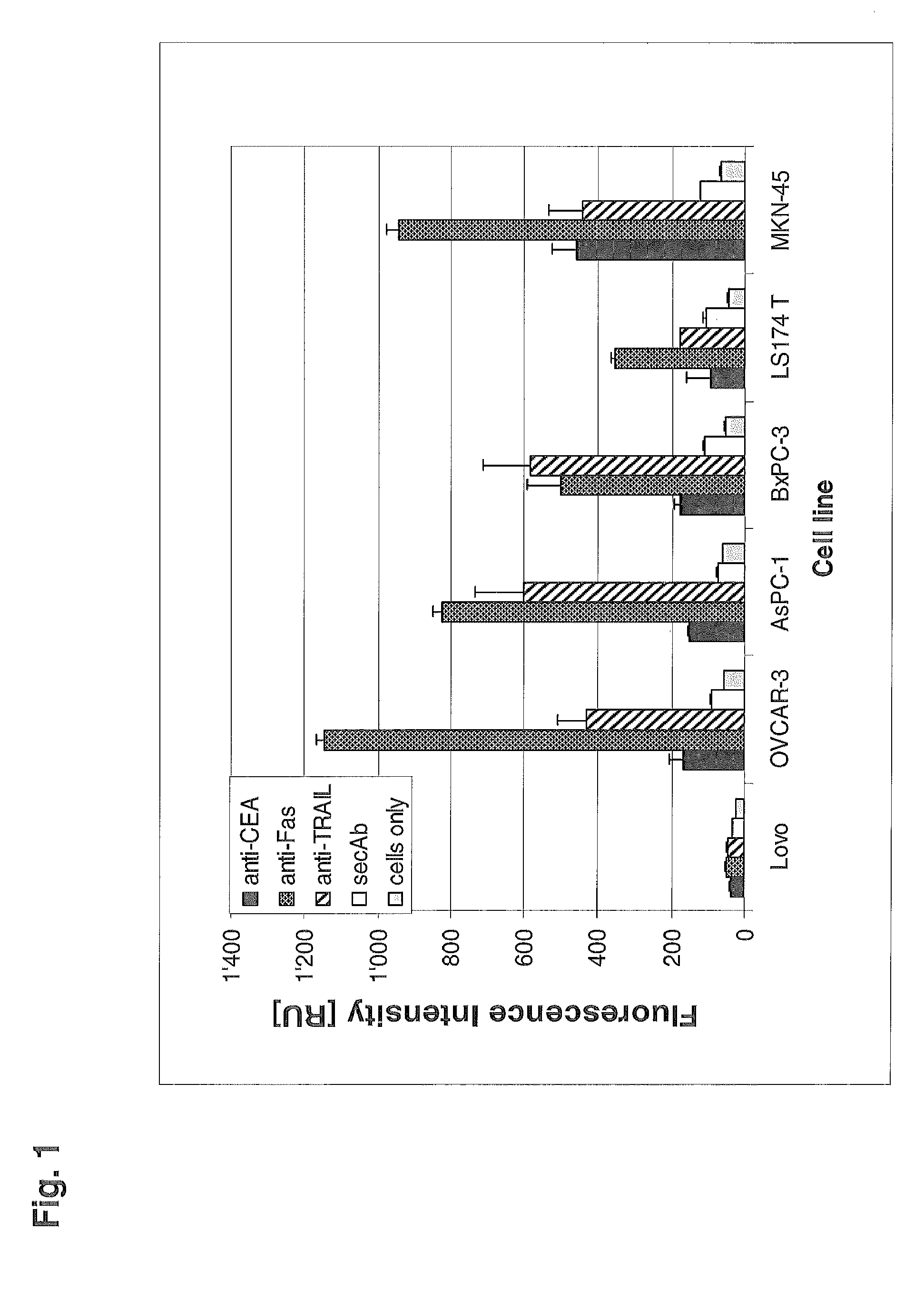 DR5—FAP bispecific death receptor agonistic antibodies