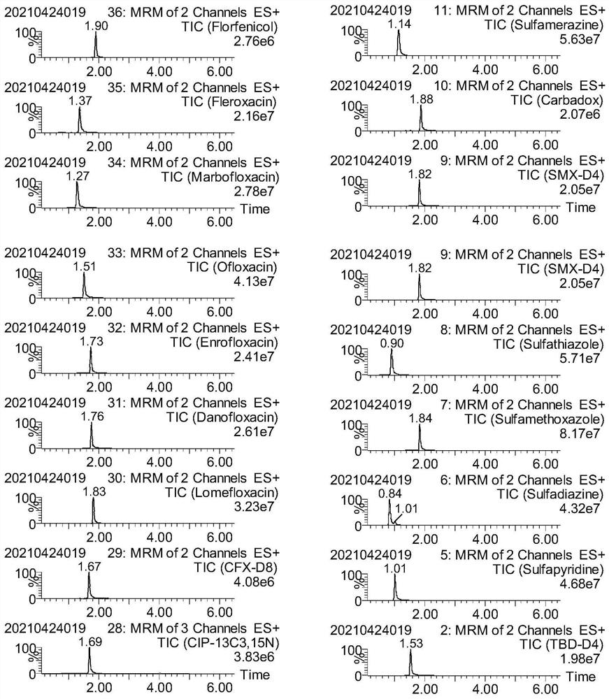 Method for determining antibiotics in human urine through solid phase extraction-high performance liquid chromatography-tandem mass spectrometry