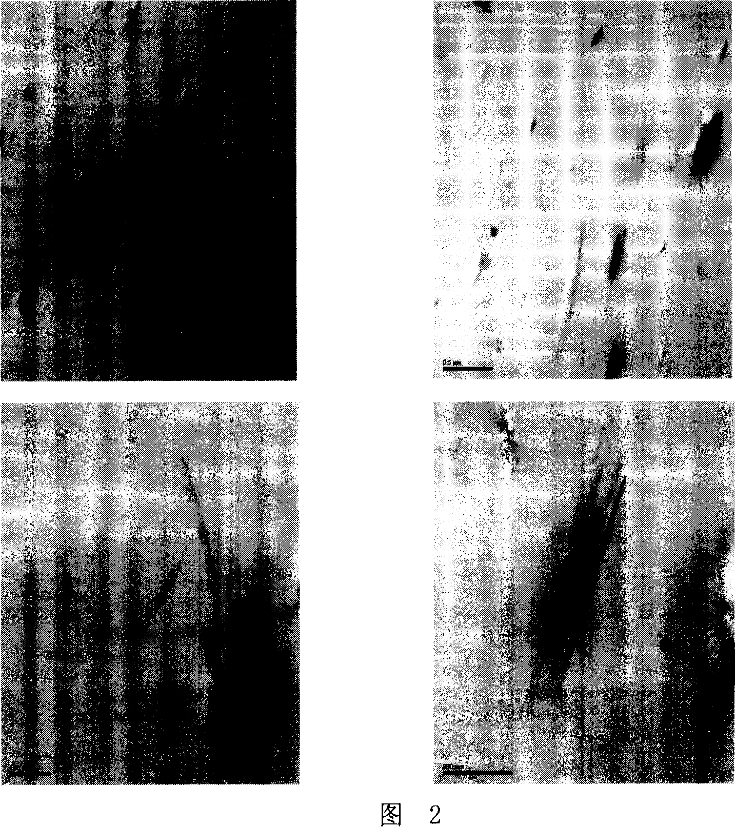 Polyester/fibrous clay nano composite material, preparation method and application thereof