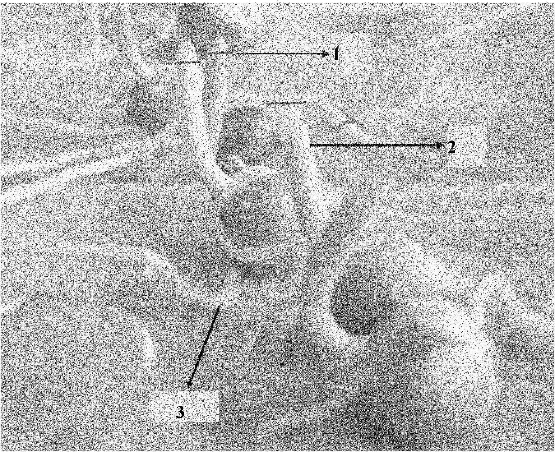 Method for doubling management of corn haploid