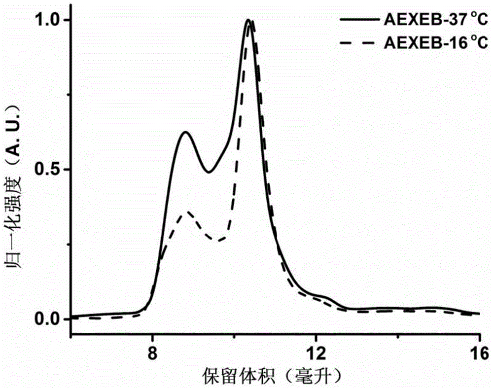 Preparation method for genetically coded holoprotein catenane