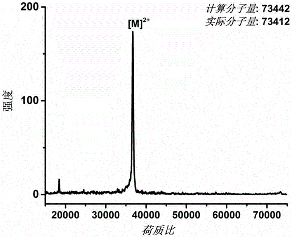 Preparation method for genetically coded holoprotein catenane