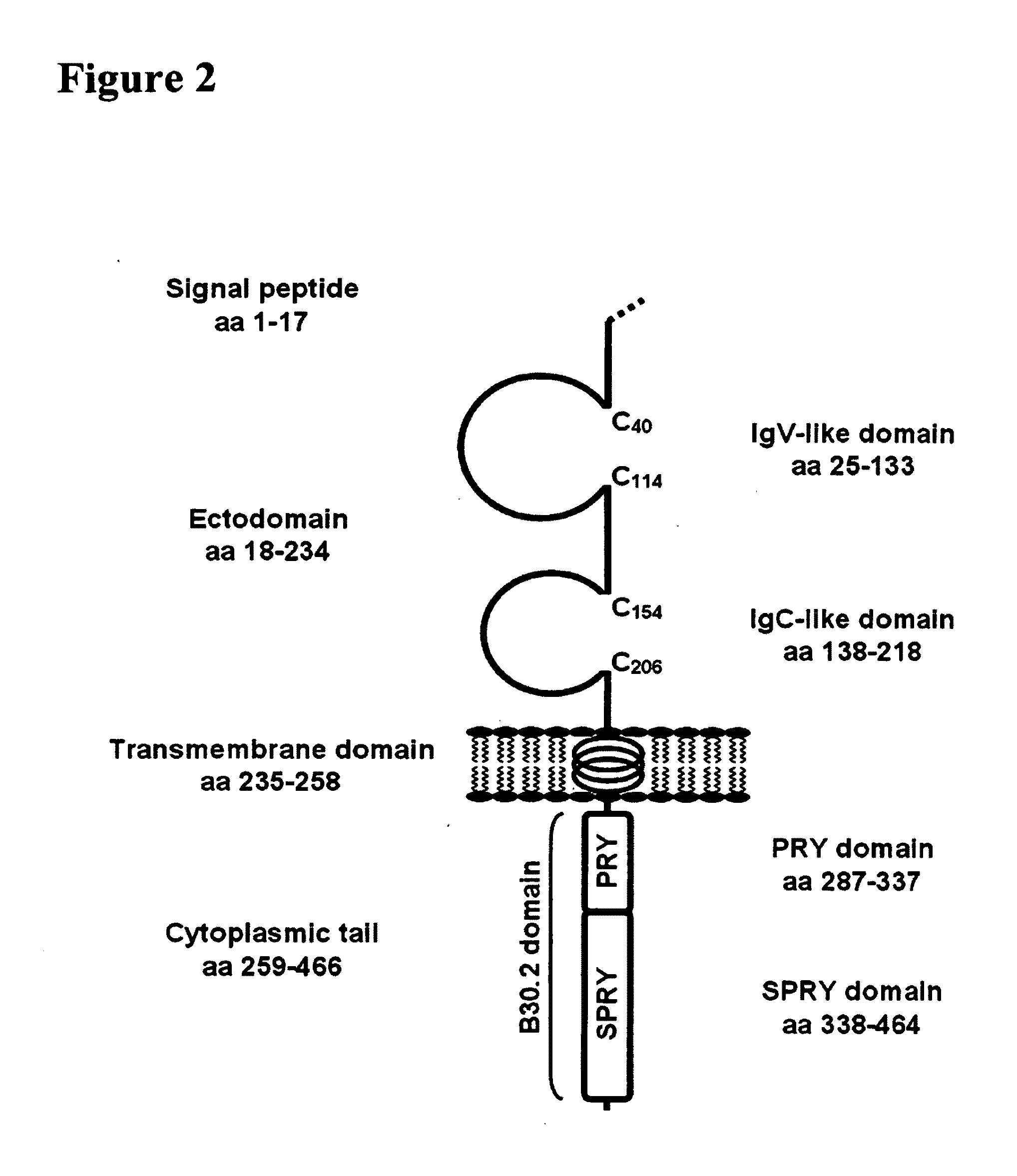 Methods and compositions for diagnosis and treatment of cancer