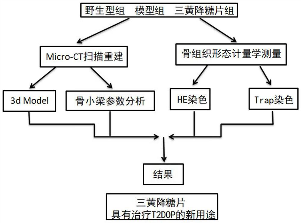 Application of Sanhuang hypoglycemic tablets in preparation of medicine for treating type-2 diabetes osteoporosis