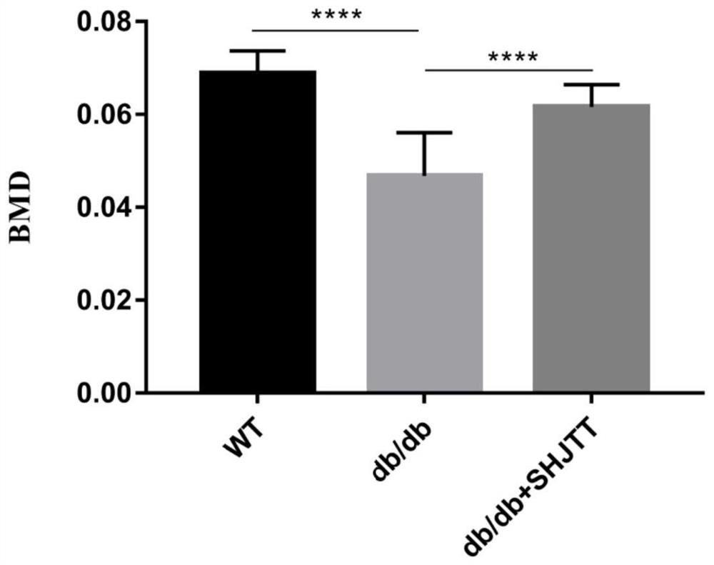 Application of Sanhuang hypoglycemic tablets in preparation of medicine for treating type-2 diabetes osteoporosis