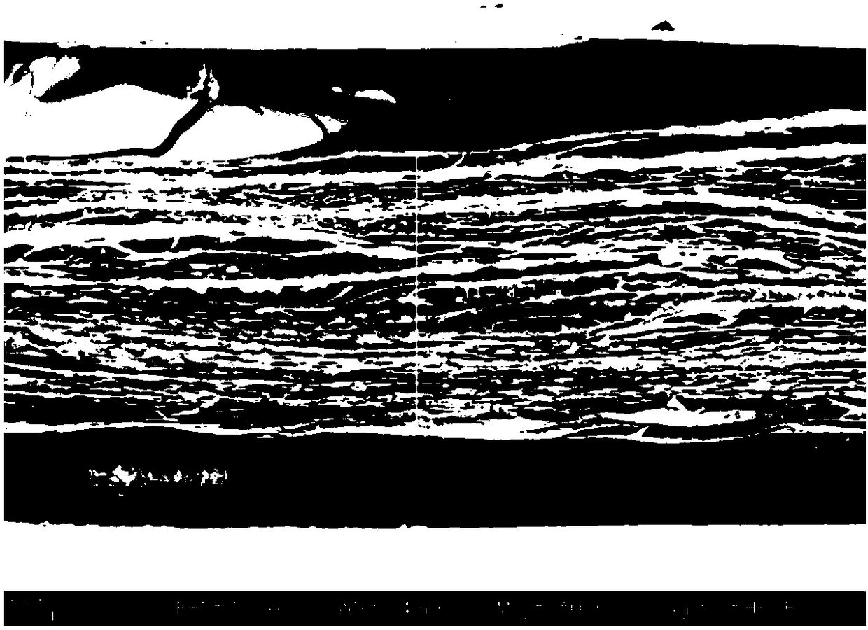 A kind of intrauterine intrauterine object, preparation method and application thereof