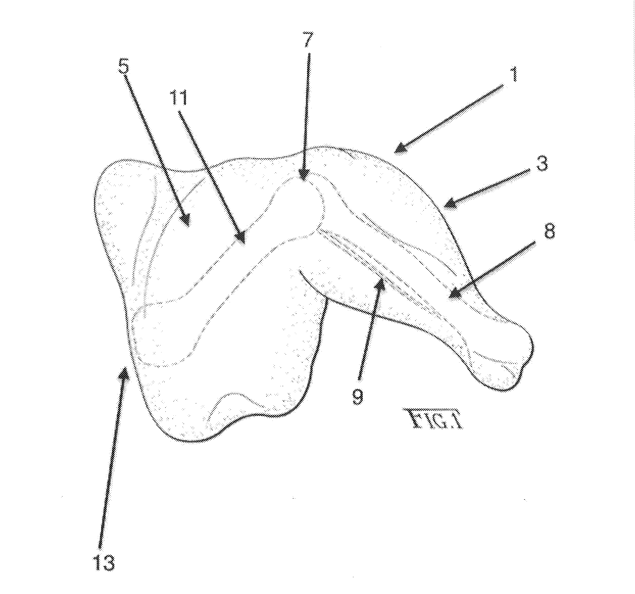 Food product from whole bird leg and method of making same