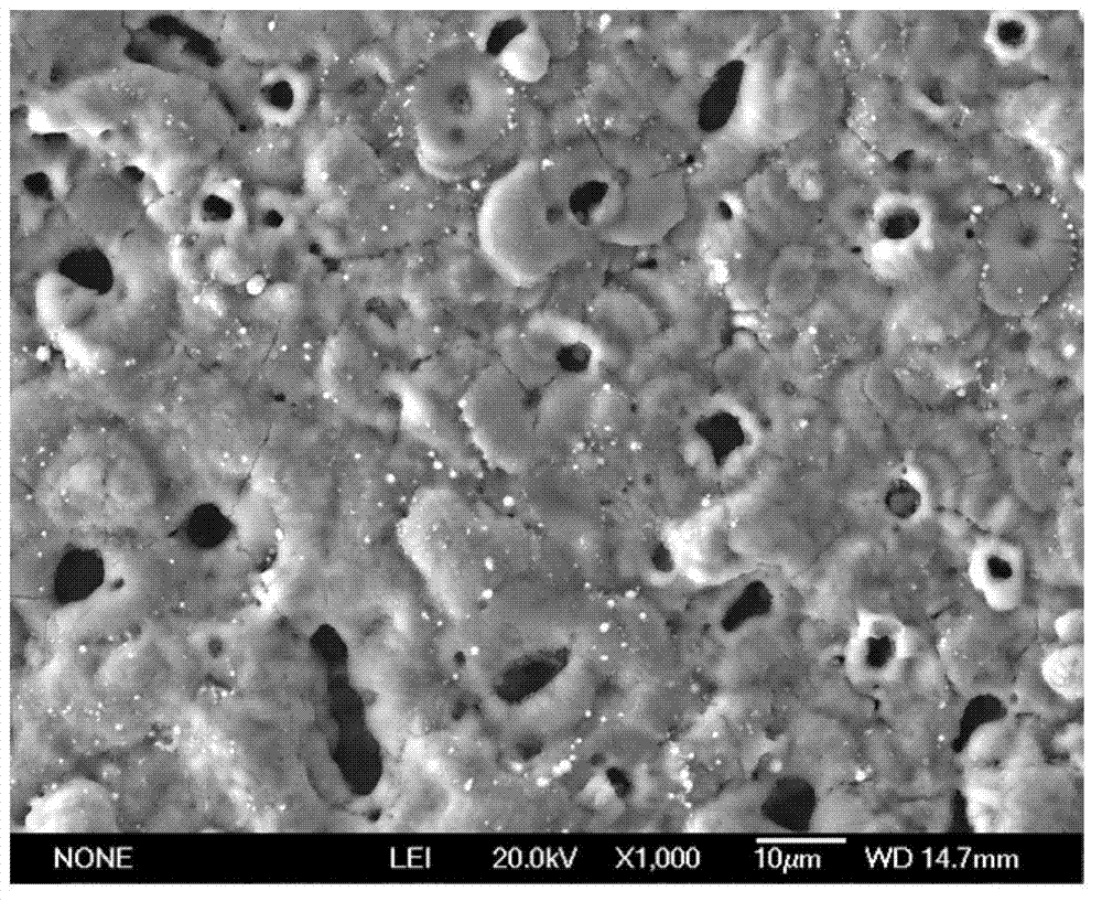 Copper oxide/aluminum oxide composite catalyst and preparation method and special micro-arc oxidation electrolyte thereof