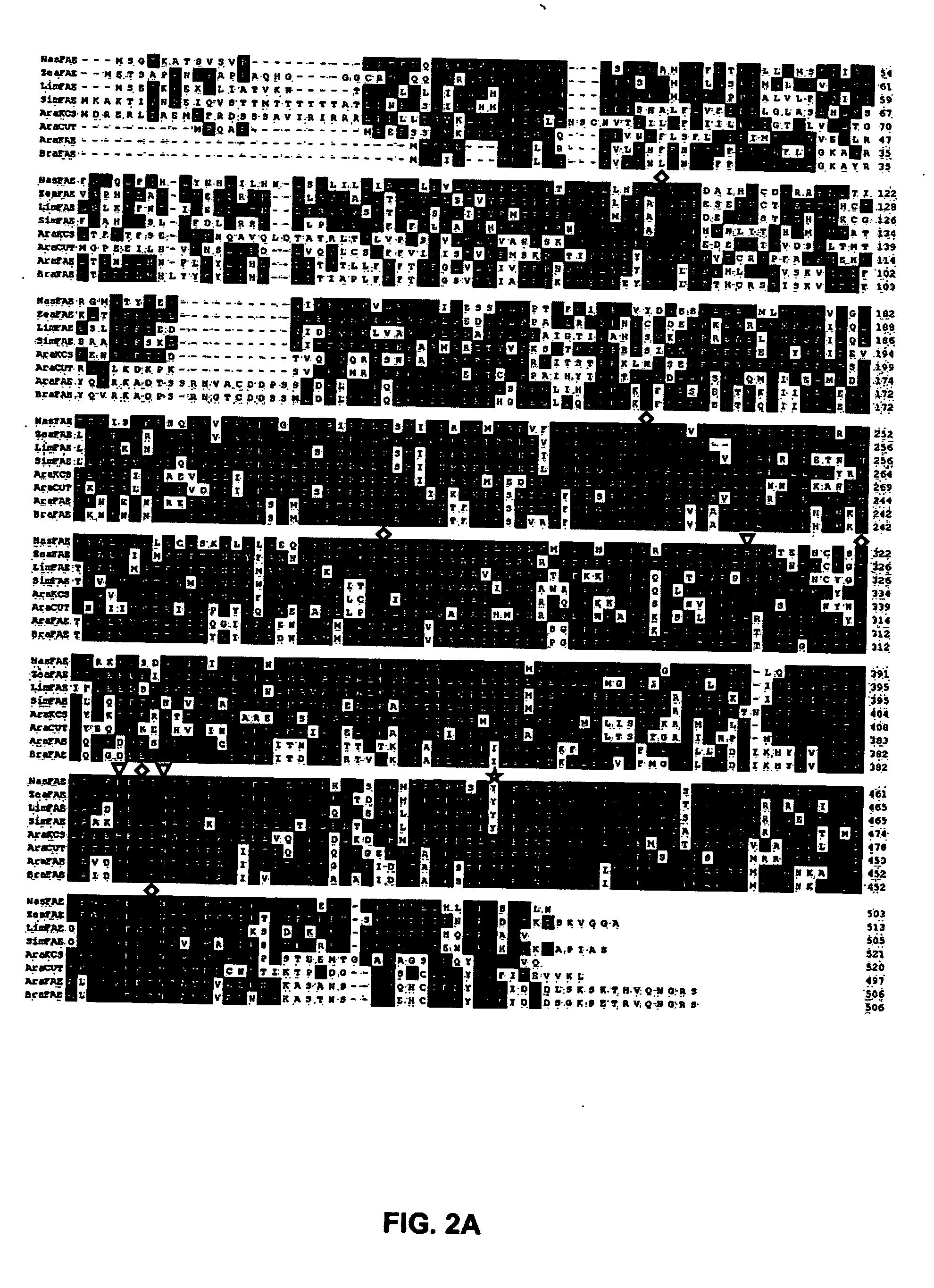 Fatty Acid Elongase (Fae) Genes And Their Utility In Increasing Erucic Acid And Other Very Long-Chain Fatty Acid Proportions In Seed Oil.