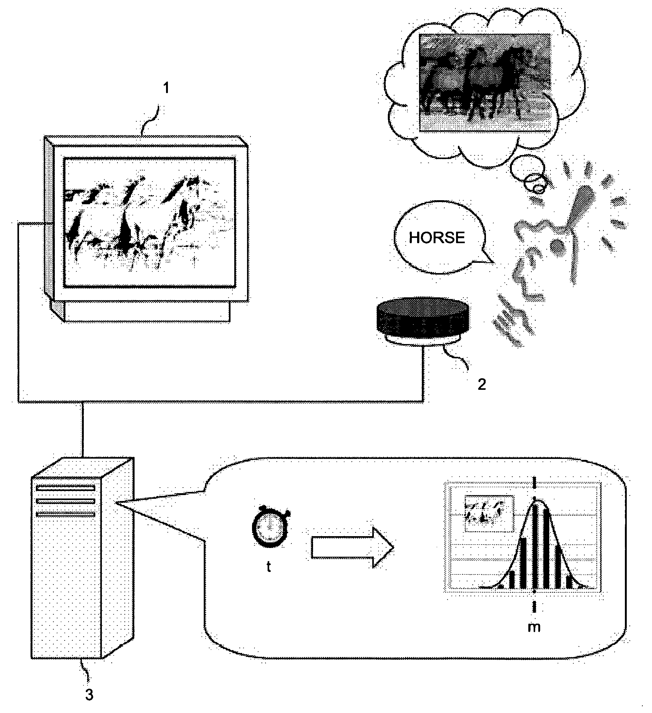 Cognitive capacity measurement device and cognitive capacity measurement method