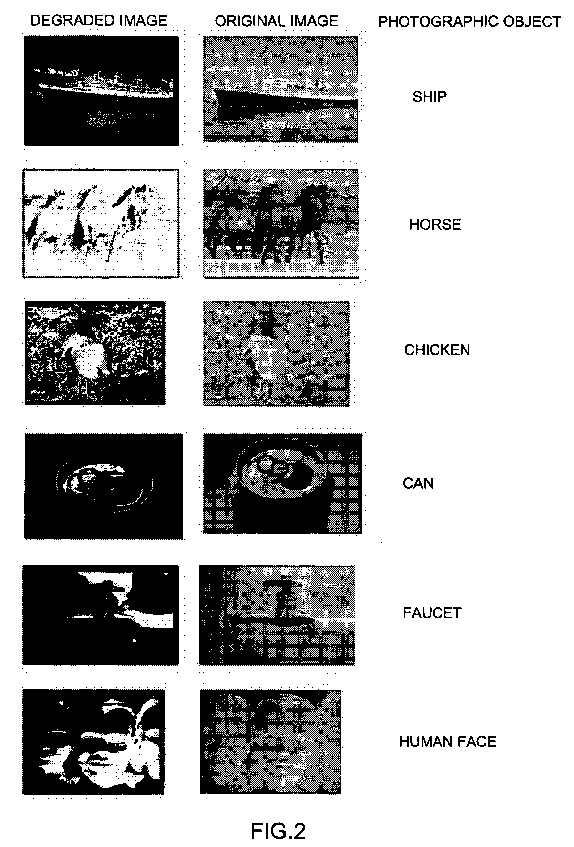 Cognitive capacity measurement device and cognitive capacity measurement method