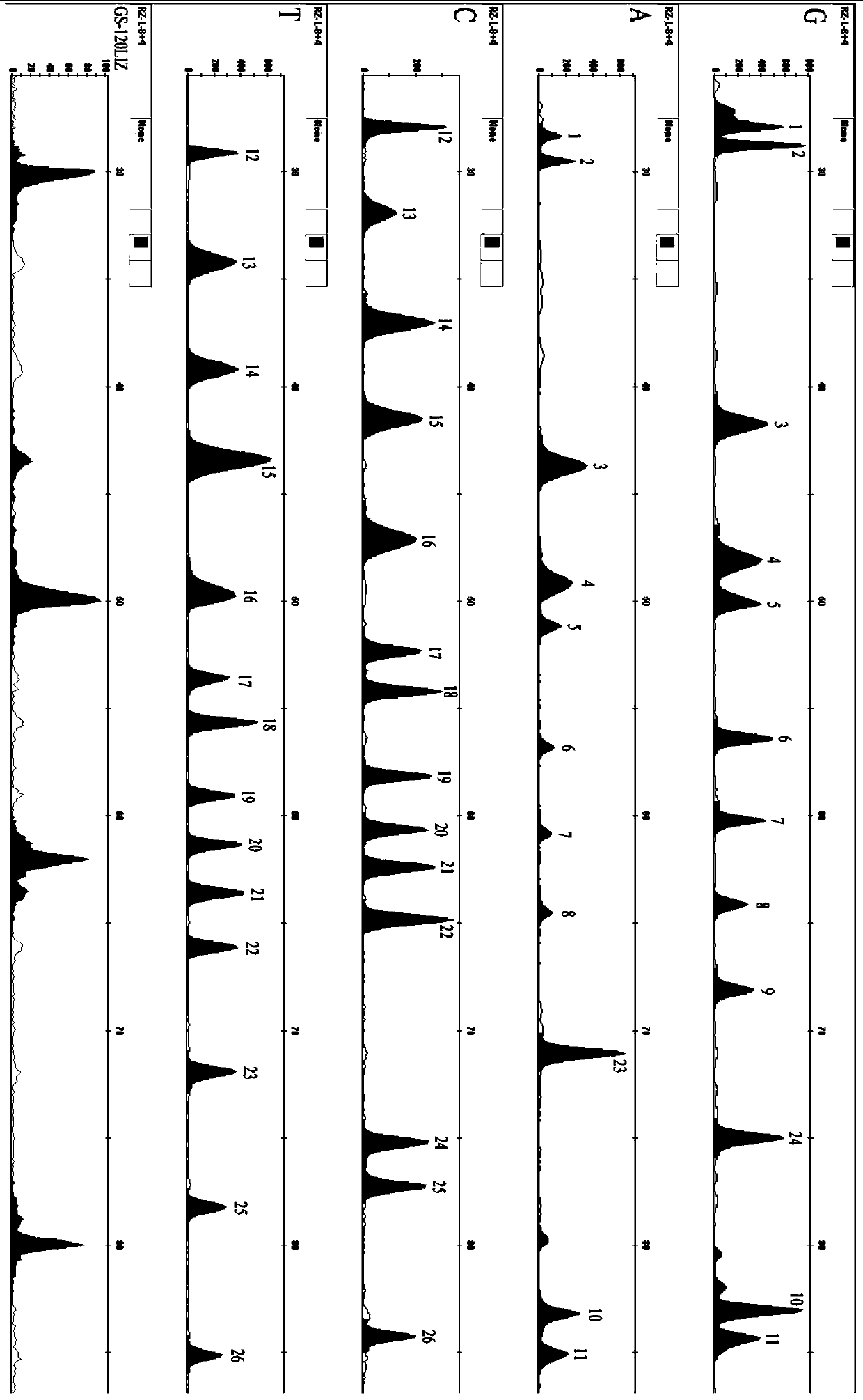 26 mitochondria SNP genetic markers-based forensic medical composite detection kit