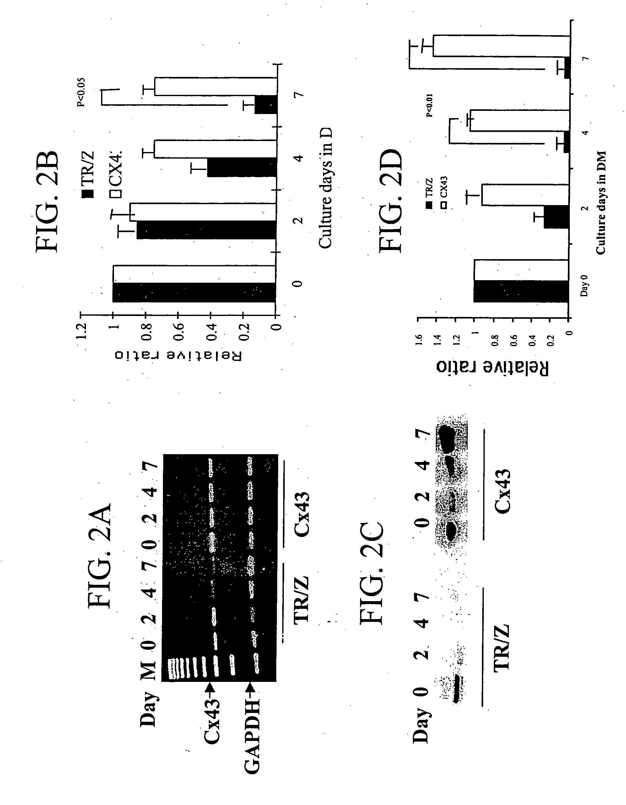 Methods and compositions for correction of cardiac conduction disturbances