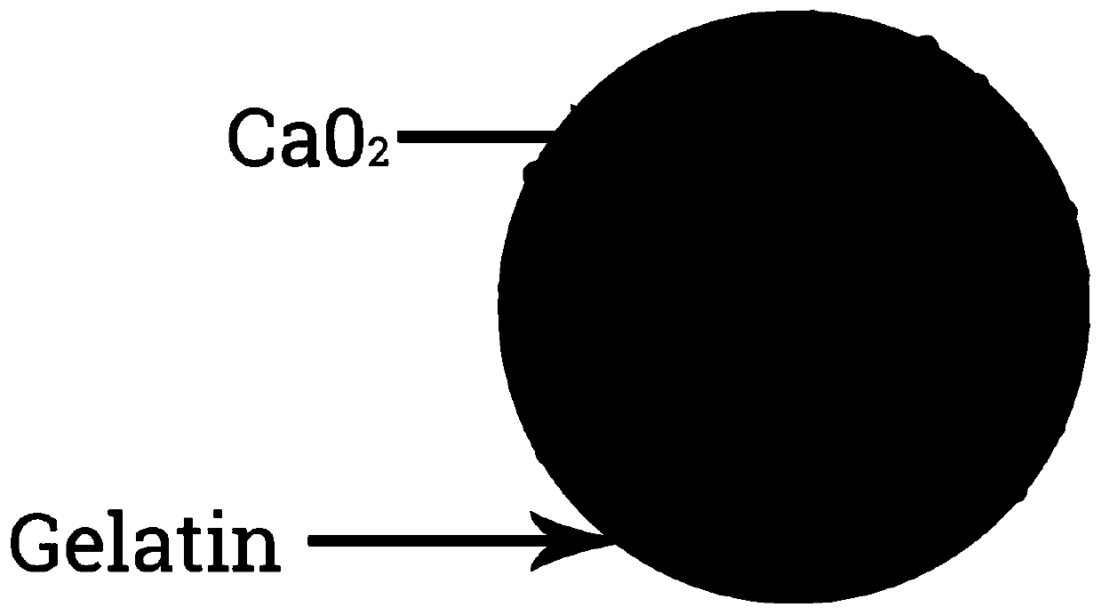 A kind of slow and controlled oxygen release microsphere and its preparation method and application