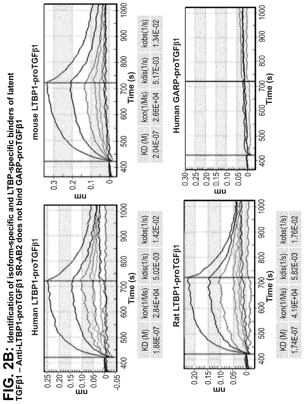 Ltbp complex-specific inhibitors of tgf-beta 1 and uses thereof