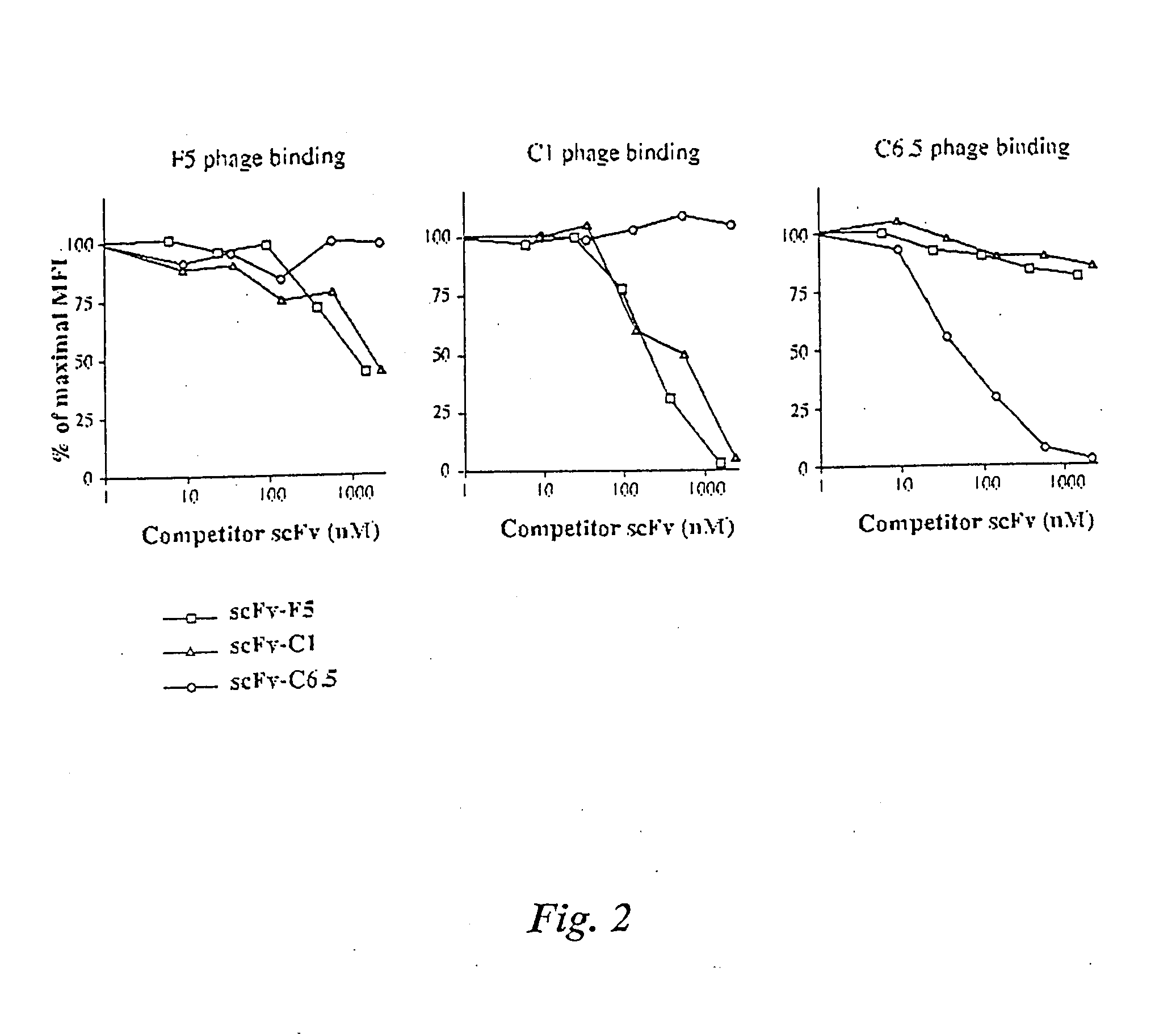 Internalizing ErbB2 antibodies