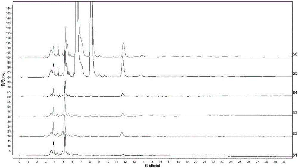 Method for discriminating adulteration of Pinellia pedatisecta in pinellia tuber