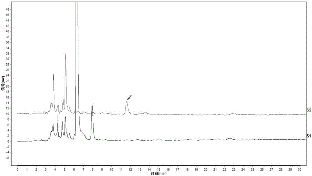 Method for discriminating adulteration of Pinellia pedatisecta in pinellia tuber