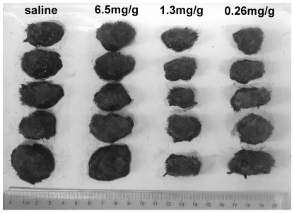 Application of compound phytonutrients in the preparation of cellular immune preparations