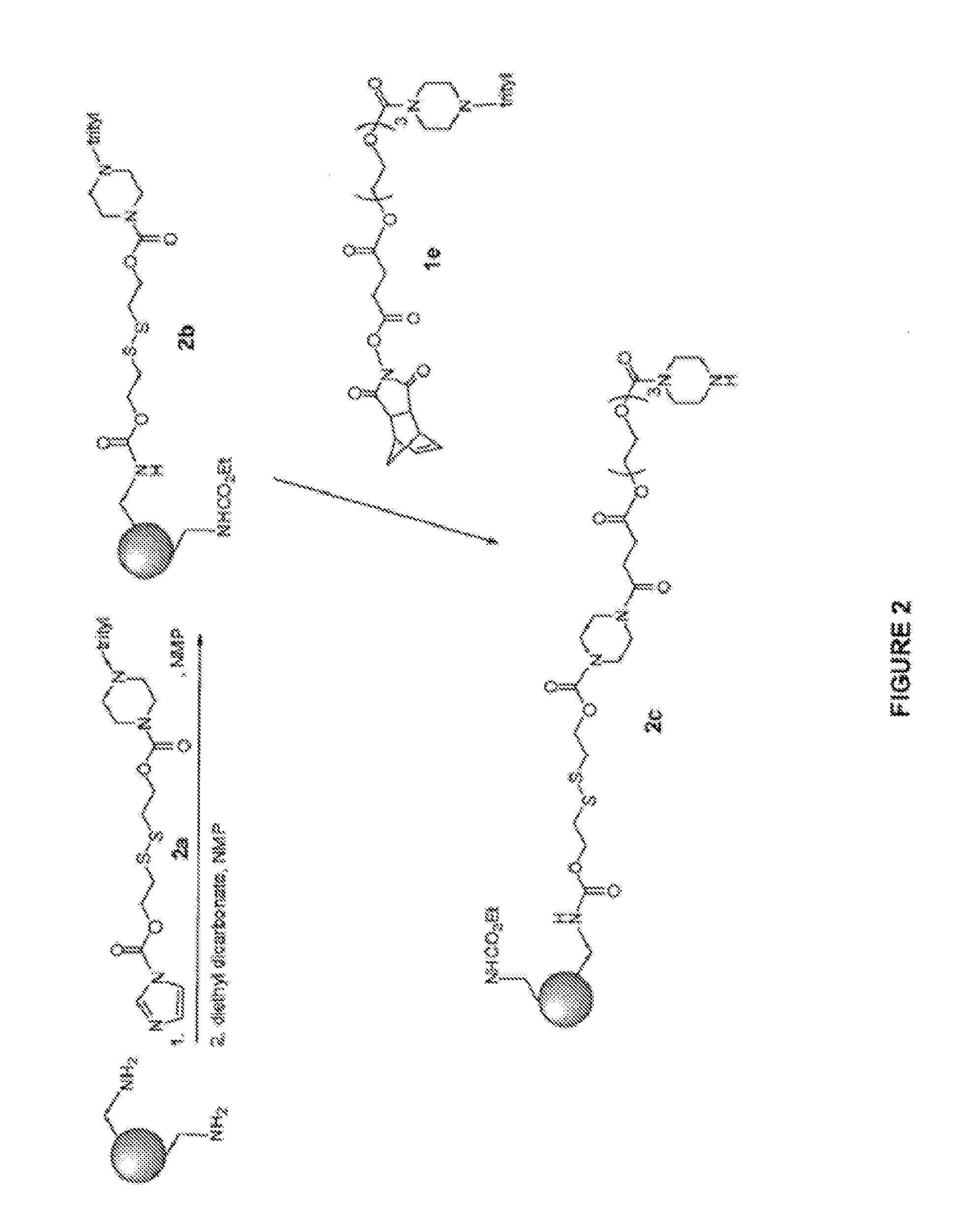 Induced exon inclusion in spinal muscle atrophy