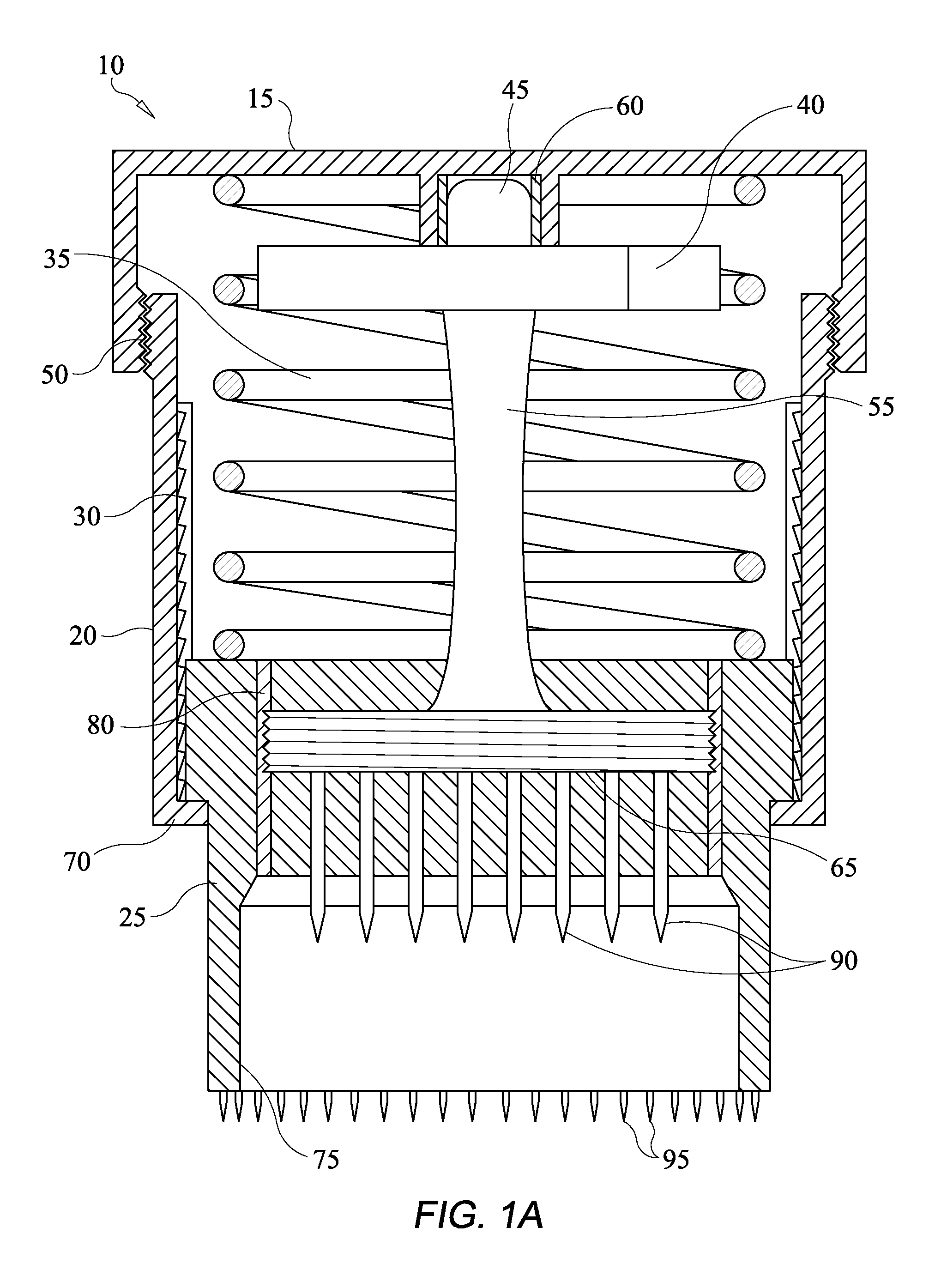 Bone scoring device