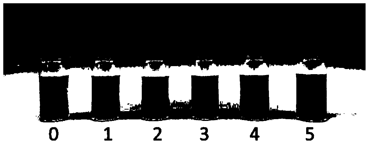 Acid-soluble peanut protein and preparation method and application thereof